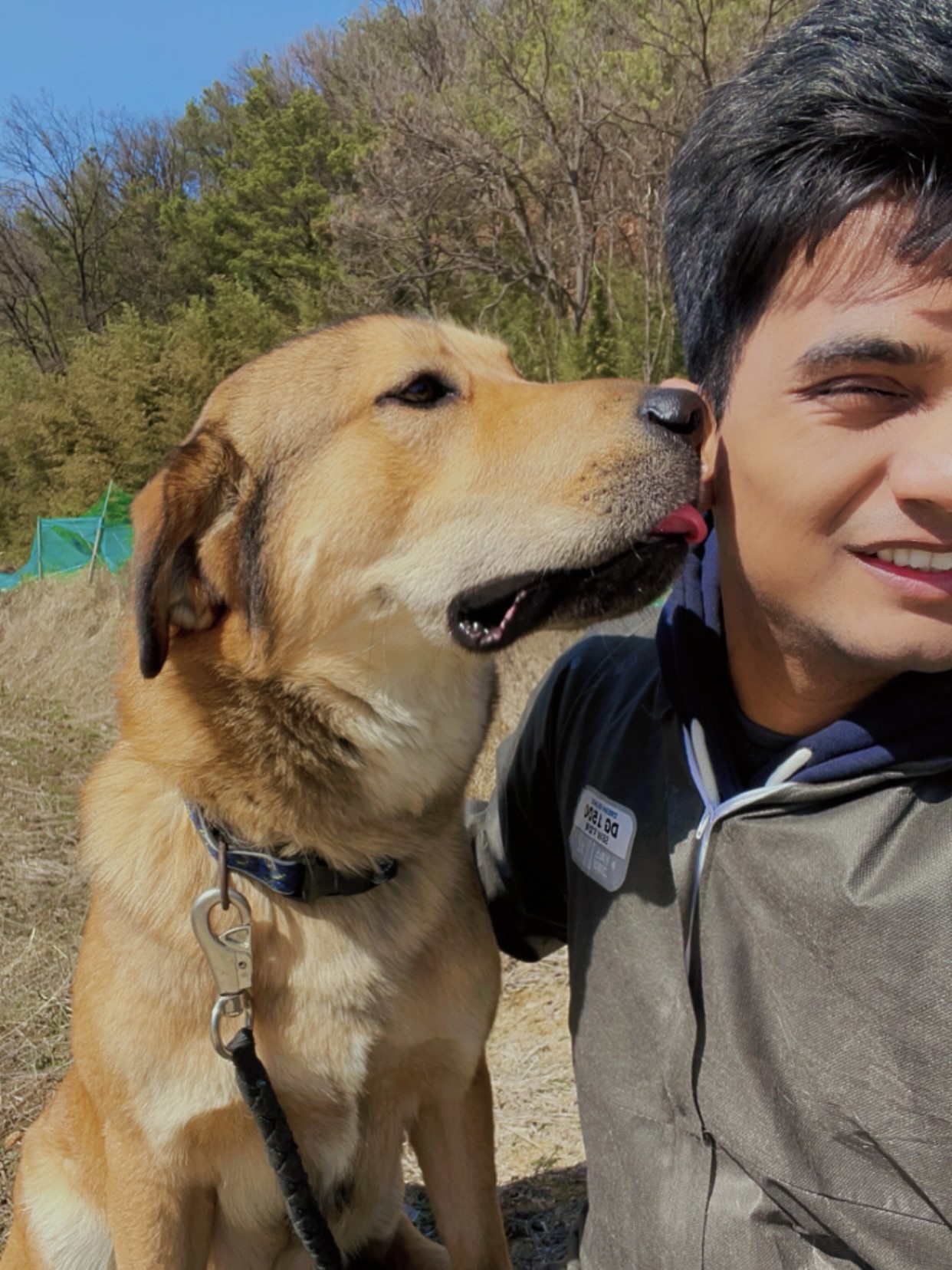 Animal shelter support